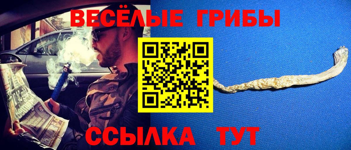 Галлюциногенные грибы Psilocybine cubensis Мелеуз