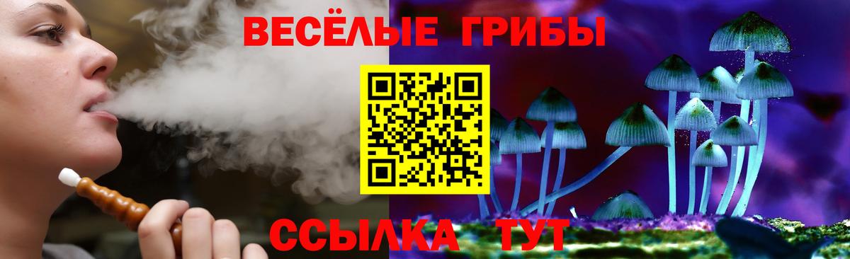 Мелеуз  Псилоцибиновые грибы прущие грибы  Вход с VPN  Галлюциногенные грибы Psilocybe 